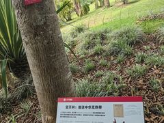 -中国科学院西双版纳热带植物园
