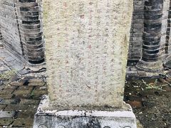 -上海佘山国家森林公园天马山园