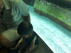 -亚龙湾海底世界
