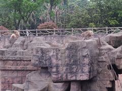 -南昌动物园