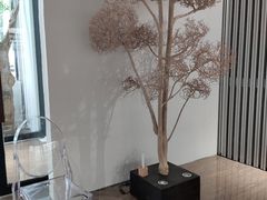 -桉树林A coffee 森林餐厅(三圣乡店)