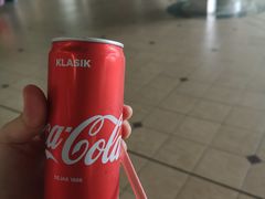 -斗湖机场