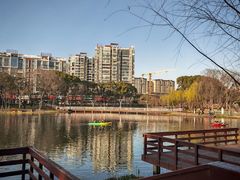 -新江湾城公园