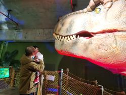 -恐龙探索乐园(磁器口店)