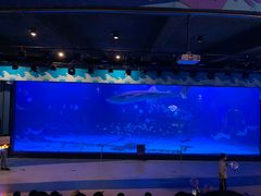 -烟台海昌鲸鲨海洋公园