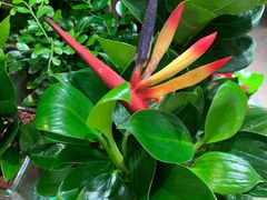 -三旗百汇商品城