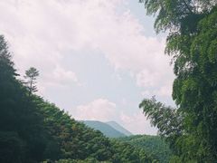 -藏龙百瀑风景区