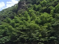 -浙东大峡谷风景区