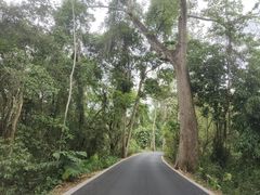 -中国科学院西双版纳热带植物园