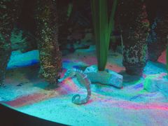 -沈阳海洋探索中心