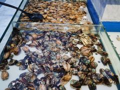 -川骄海鲜自助(河东店)