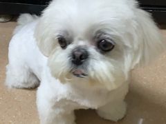 -安安宠医·安烨宠物医院·宠物保险(北仑分院)