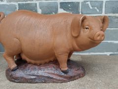 -猪肉婆私房菜(容桂总店)