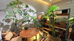 -芳香乐府SPA·五行芳疗