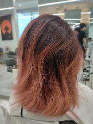 -潘多拉Hairsalon
