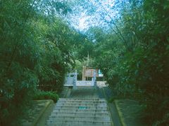 -少华山国家森林公园