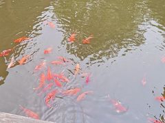 -浙江省博物馆(孤山馆区)