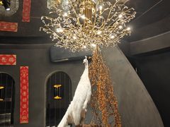 -滇野云南野生菌餐厅(陕西南路店)