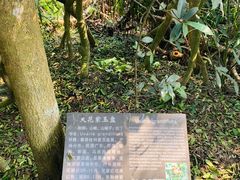 -海口火山口国家地质公园