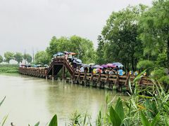 -长兴太湖图影湿地文化园