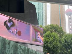 -花旗集团大厦