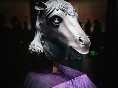 -广西壮族自治区博物馆