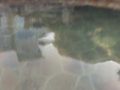 -中家鑫园温泉酒店鑫悦汤泉