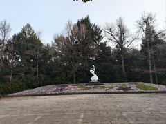 -杭州植物园