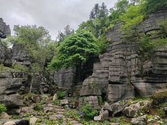 -梭布垭石林景区