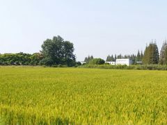 -嘉北郊野公园北游客中心-地上停车场