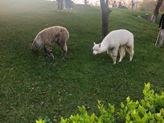 -小小河边鱼(天润城店)