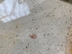 -美联众合动物医院·24h京西诊疗中心