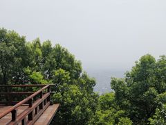 -杭州半山国家森林公园