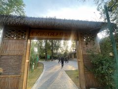 -泗洪洪泽湖湿地景区