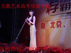 -天籁艺术高考培训学校·重庆艺考集训
