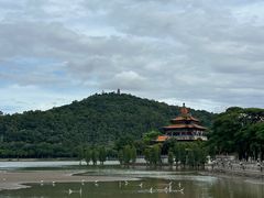 -顺峰山公园