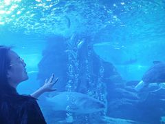 -太平洋海底世界