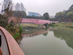 -两江幸福广场
