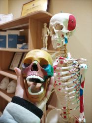 -小颜秘家·韩国整骨