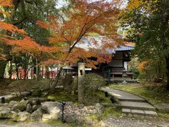 -醍醐寺