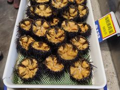 -大锅强·蒸海鲜青岛菜(金沙滩店)