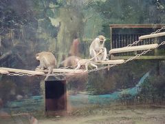 景点-成都动物园