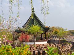 -无锡蠡湖国家湿地公园-蠡园
