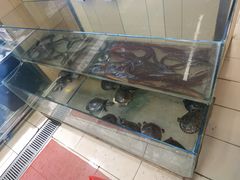 -永辉超市(嘉定宝龙广场店)