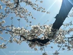 -龙美术馆(西岸馆)