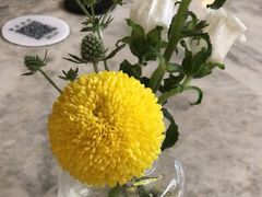 -gaga(深圳京基KKMALL店)