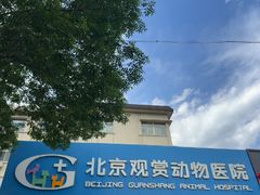 -北京观赏动物医院·24小时大型综合·猫专科·异宠专科