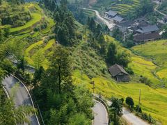 -紫鹊界梯田景区