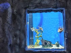 -福州罗源湾海洋世界旅游区