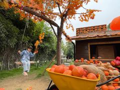 -HERRE·FARM 赫尔露营农场·团建聚会包场